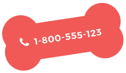 ペット信託テスト5