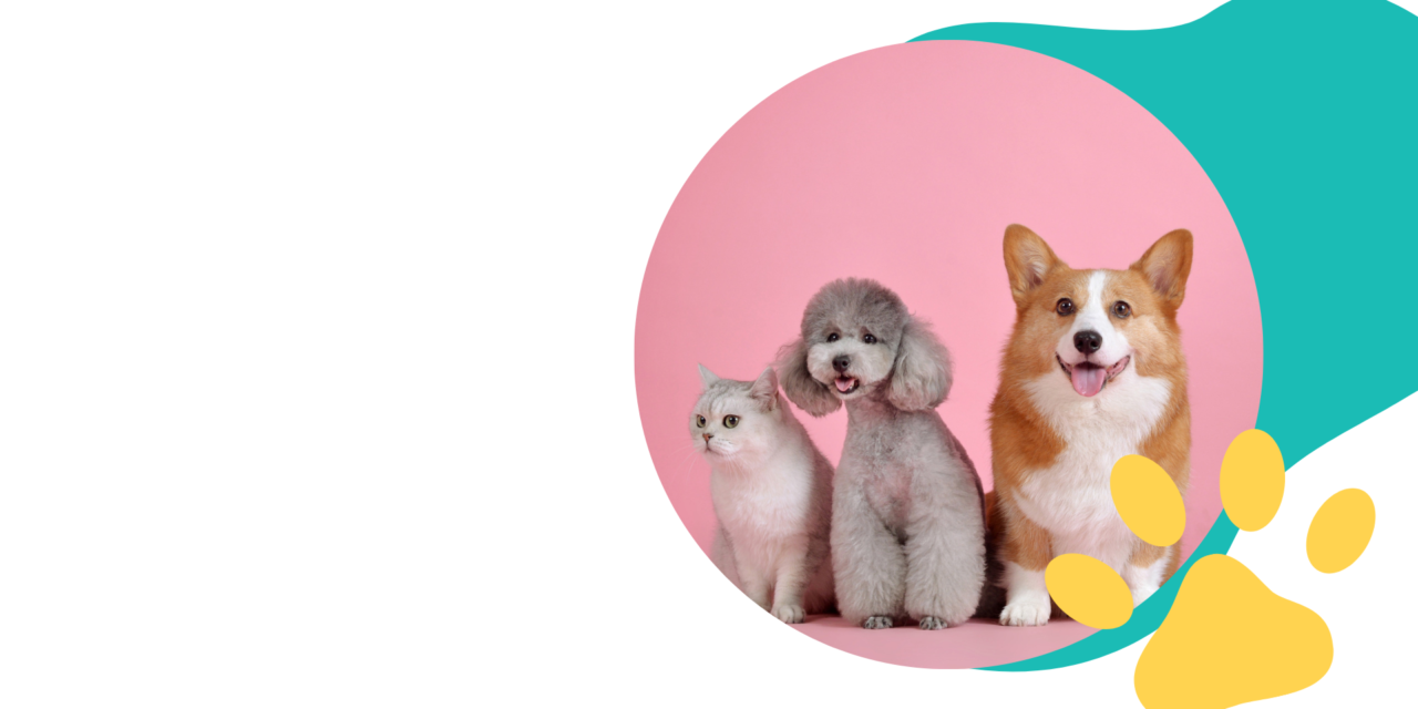 ペット信託テスト3