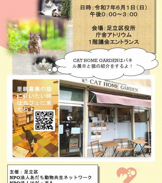 第7回あだち保護猫たちの譲渡会《開催日6月1日(日)》